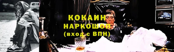 стаф Няндома