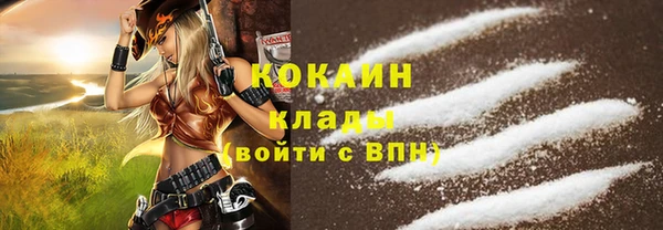 стаф Няндома