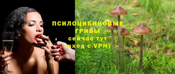 первитин Нязепетровск