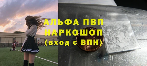 стаф Няндома