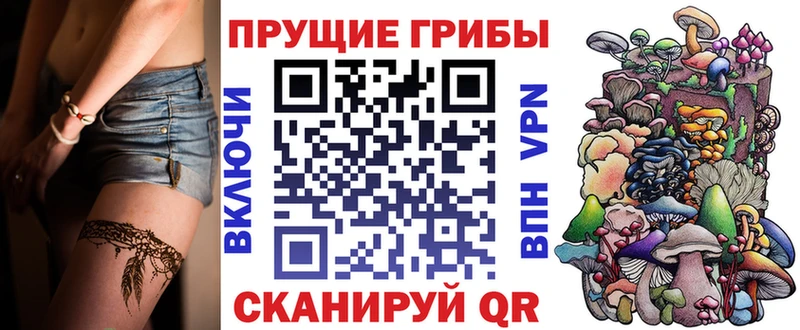 Псилоцибиновые грибы Cubensis  Ишим 