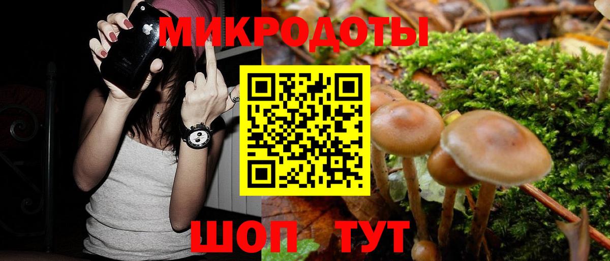 Ишим  Галлюциногенные грибы мицелий  Вход с VPN 