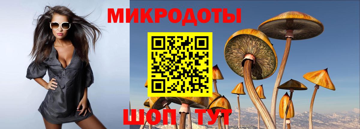 Галлюциногенные грибы Ишим